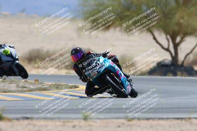 media/May-12-2024-SoCal Trackdays (Sun) [[ad755dc1f9]]/10-Turn 4 Tree of Life (1120am)/